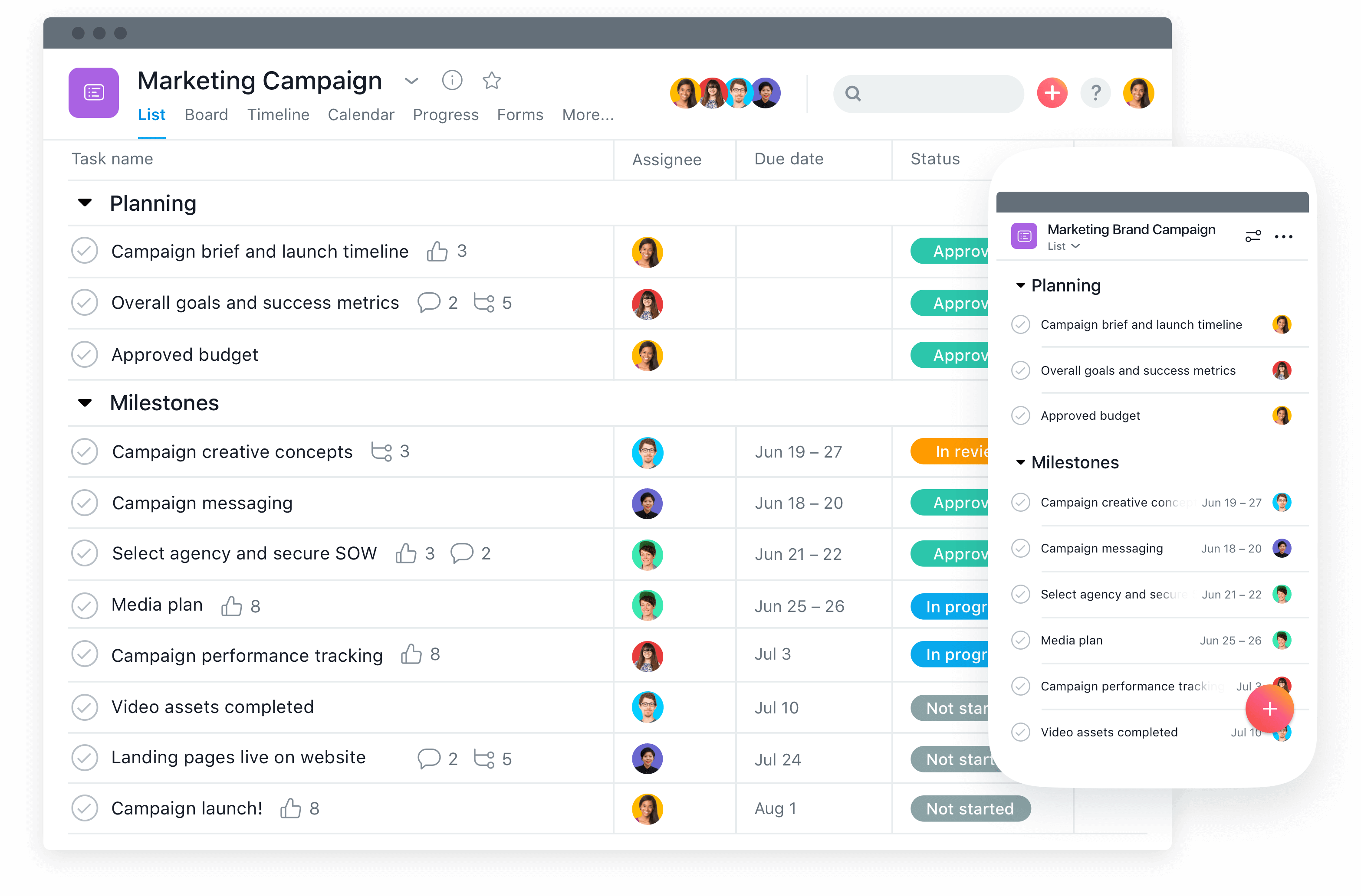 Asana Project Management Software
